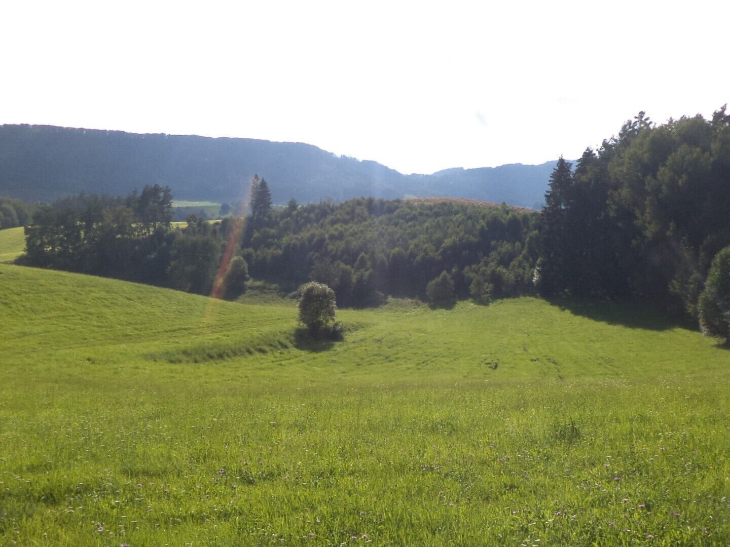 Zemědělské pozemky, Horní Dobrouč, Dolní Dobrouč, 71 m²