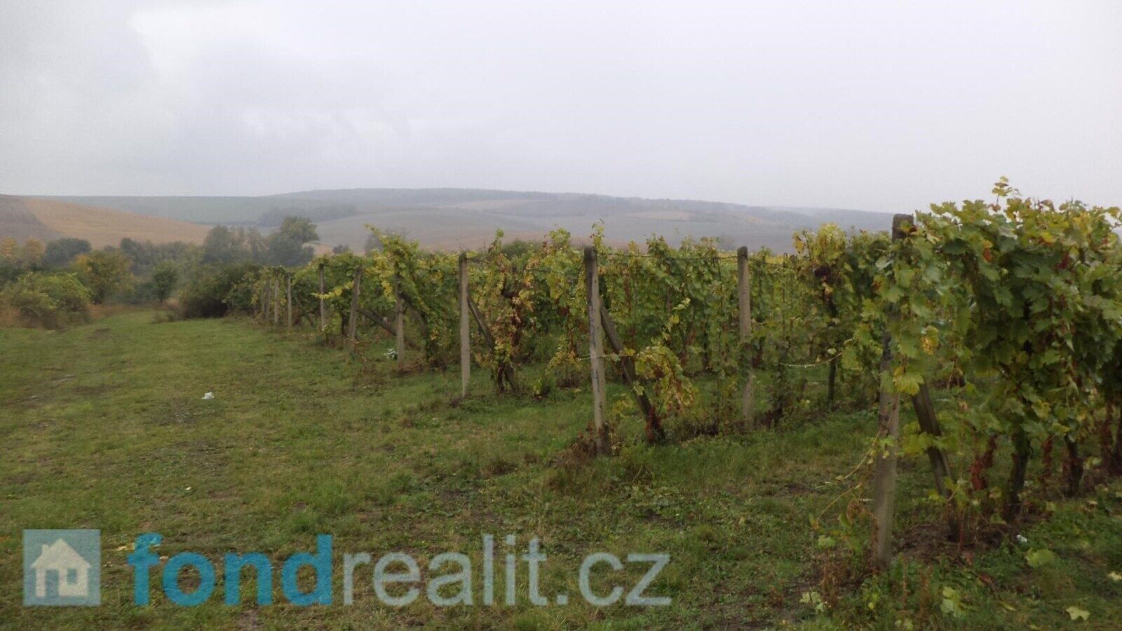 Pozemek · 4 541 m² · Morkůvky - 4