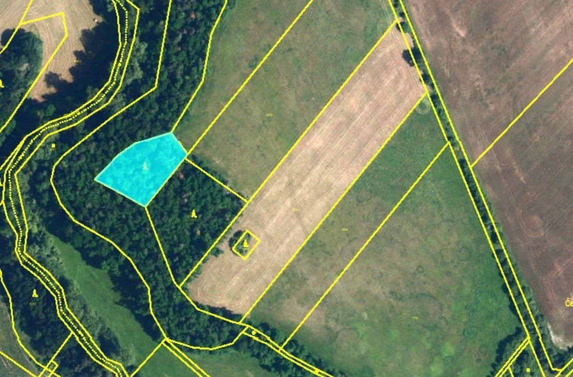 Prodej les - Rouchovany