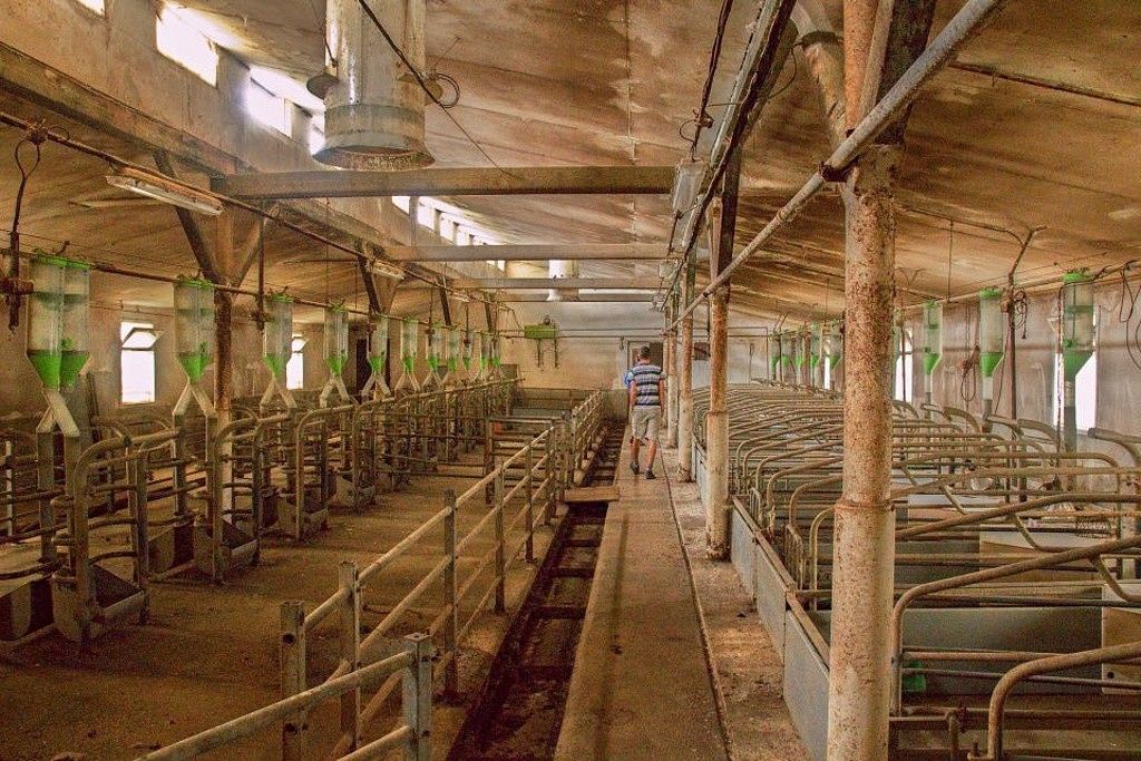 Zemědělský objekt · 1 059 m² · Třešovice, okres Strakonice, Jihočeský kraj - 3