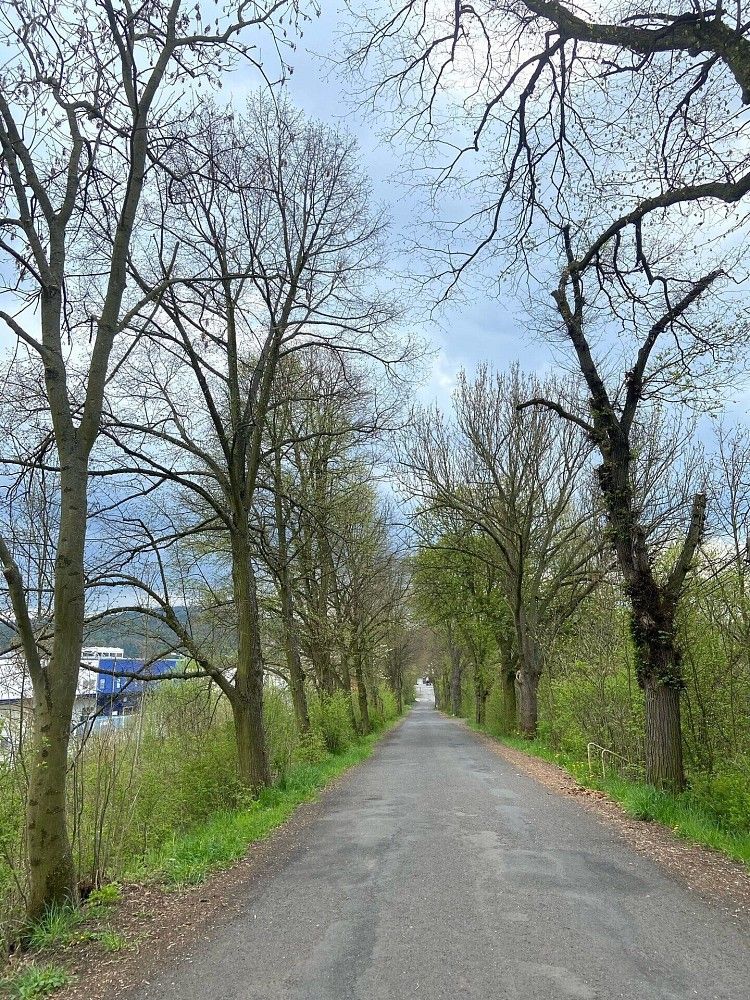 Komerční pozemek, 1 420 m²