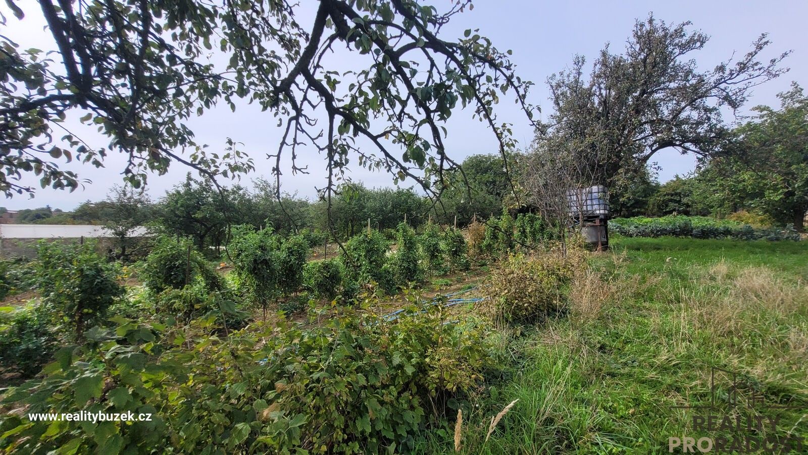 Prodej rodinný dům - Troubky-Zdislavice, 305 m² - 5