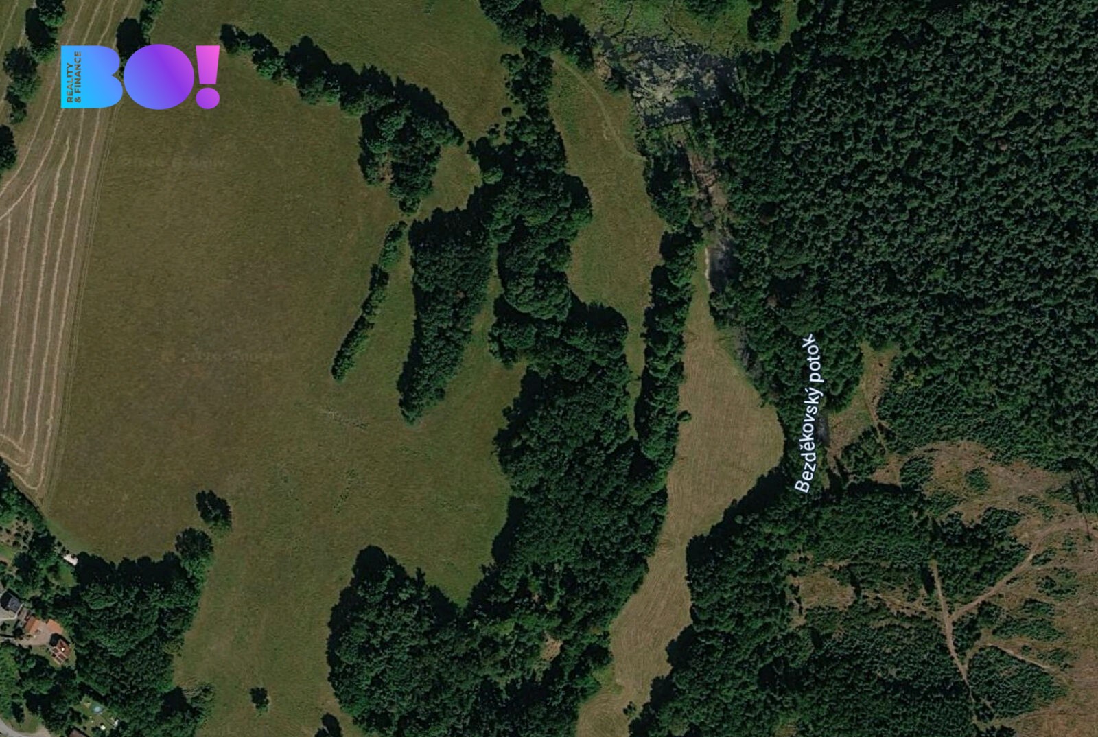Prodej zemědělský pozemek - Přimda, 1 600 m² - 2