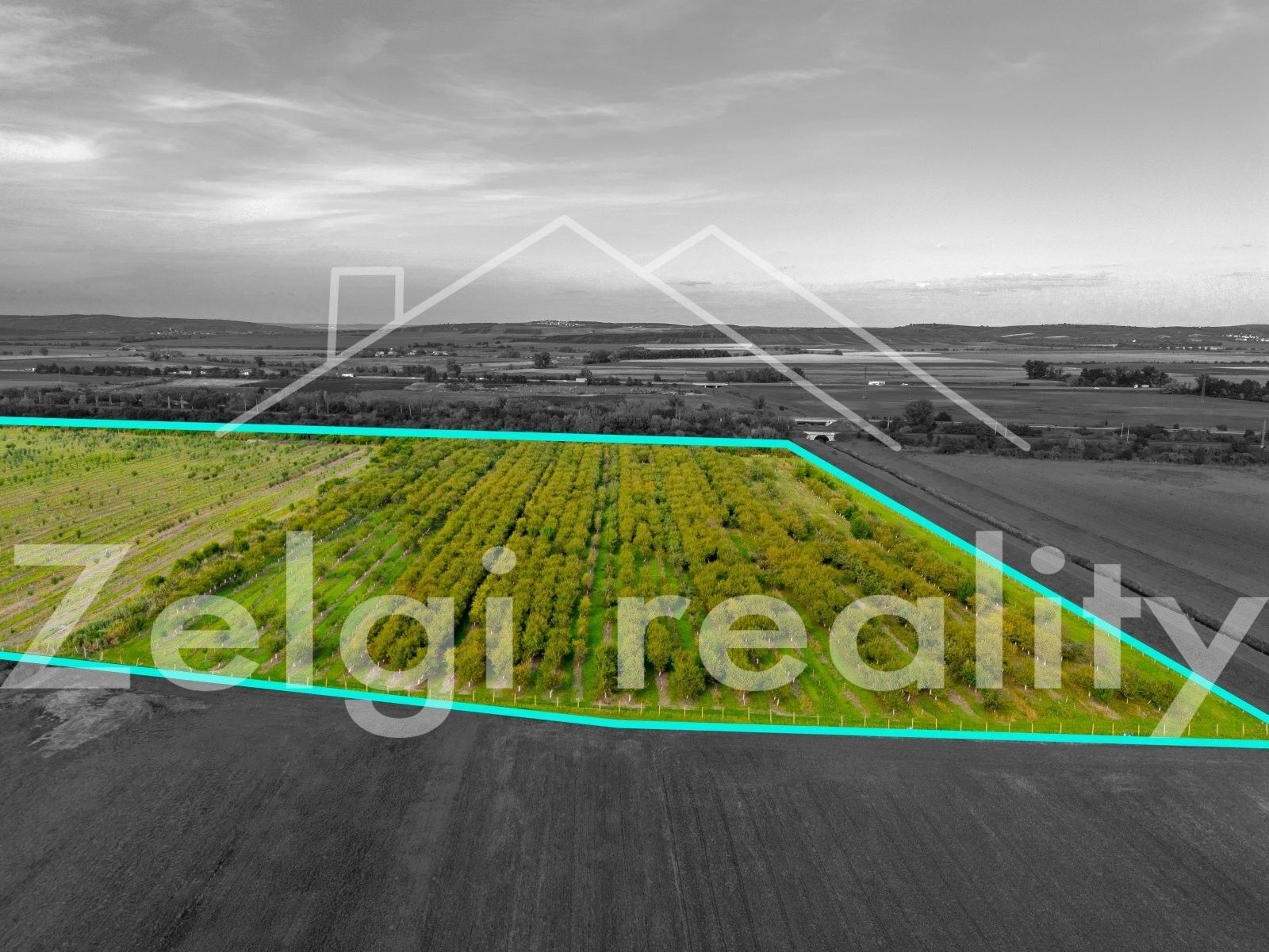 Ostatní, Rakvice, 210 m²