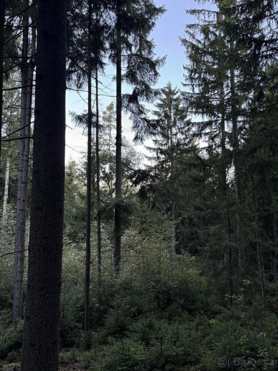 Prodej pozemek pro bydlení - Trhové Sviny, 374 01