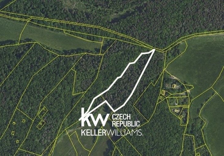 Prodej les - Na dolích, Petrov