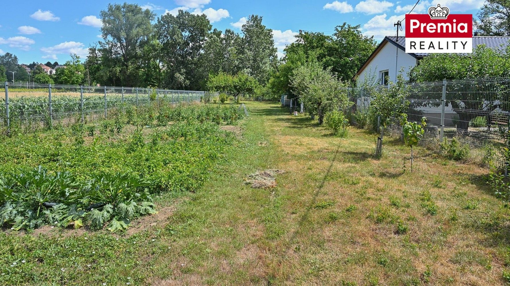 Zahrada · Medlov, okres Brno-venkov, Jihomoravský kraj - 3