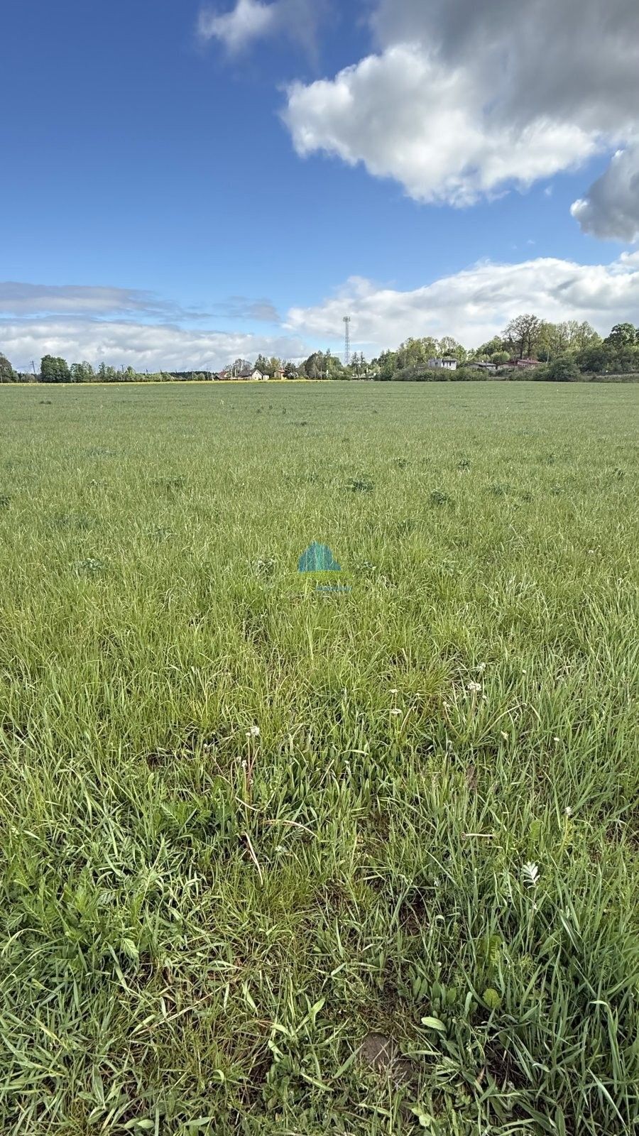 Zemědělský pozemek · 584 m² · Americká, Františkovy Lázně - 3