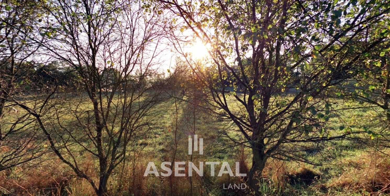 Prodej pozemek - Doubrava