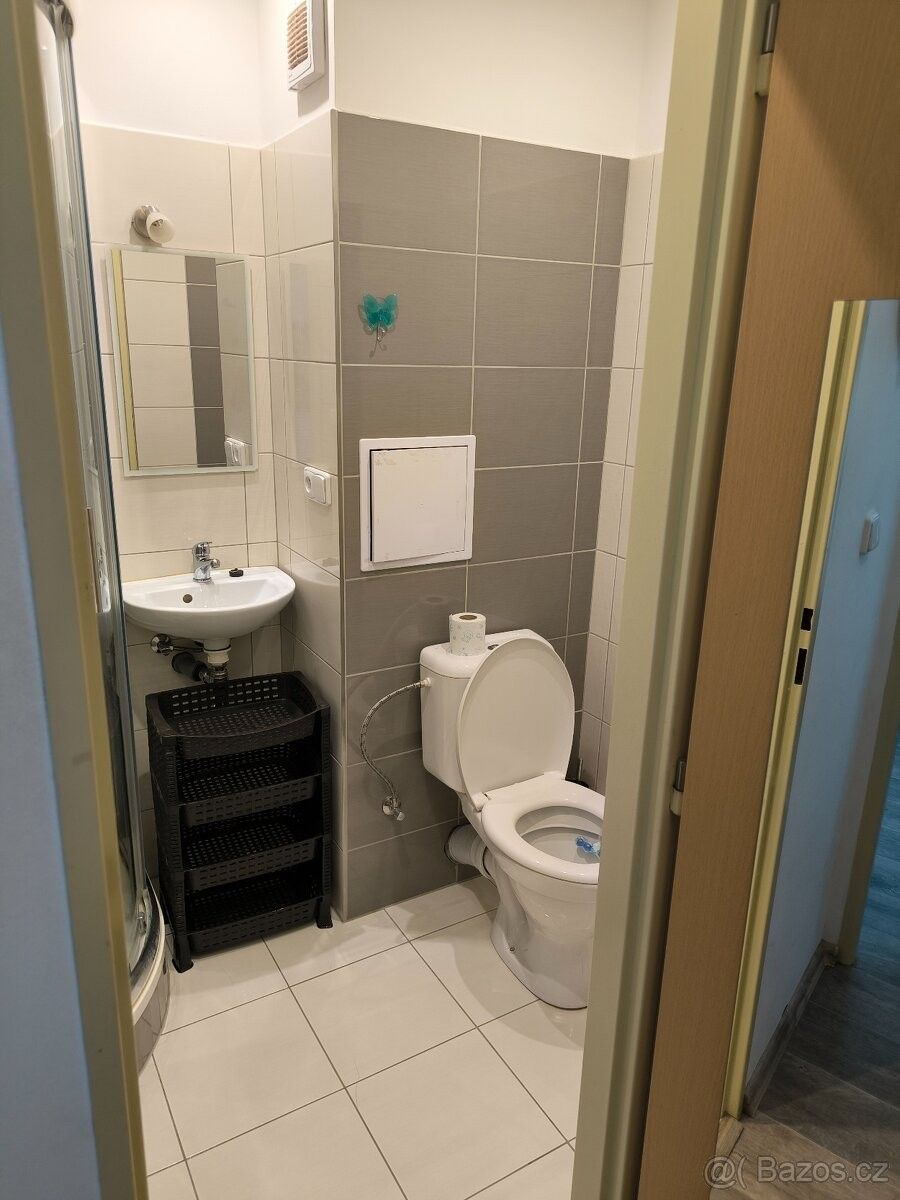 Pronájem byt - Přepychy, 517 32