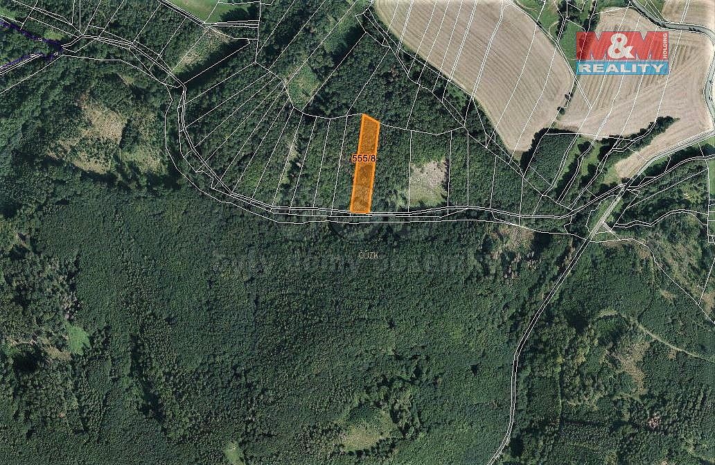 Les · Vranová Lhota, okres Svitavy, Pardubický kraj - 4