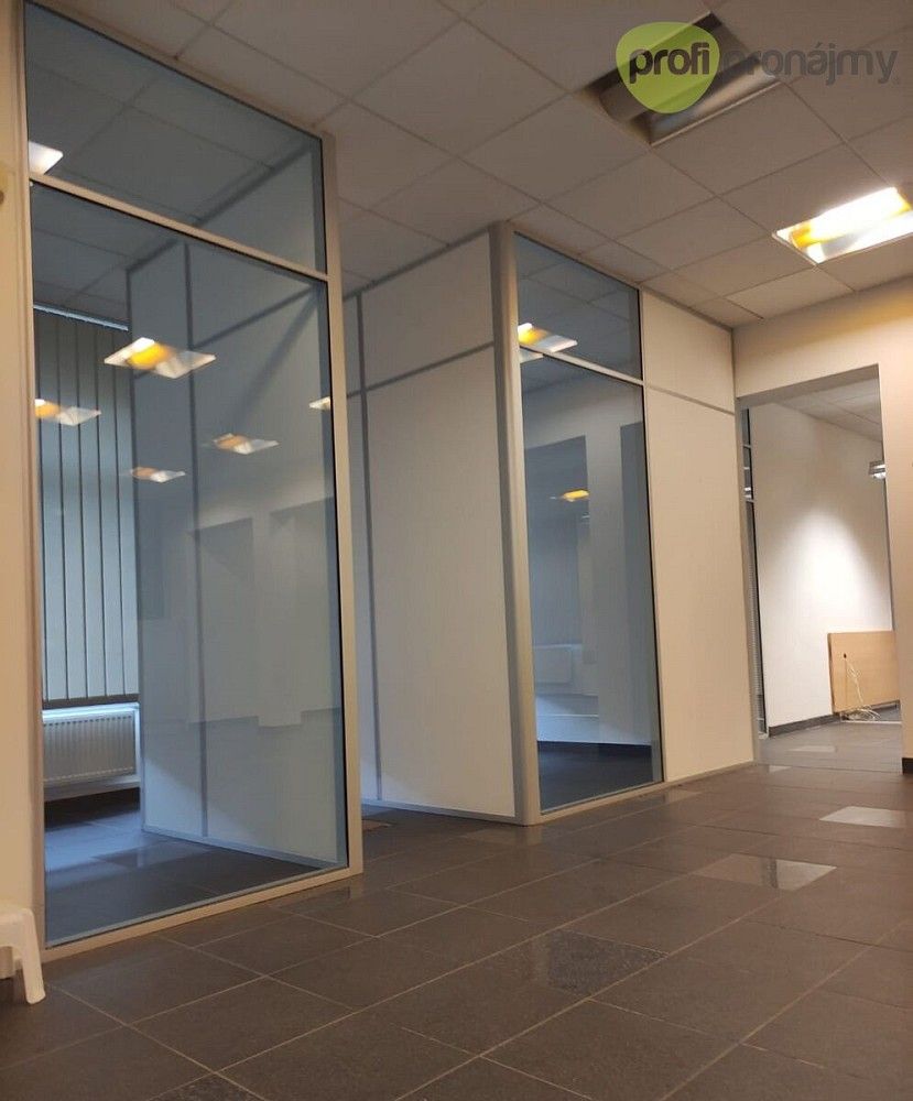 Kancelář · 171 m² · Pelhřimov, Kraj Vysočina - 4