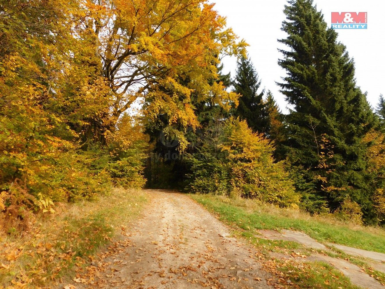 Louka · Lučany nad Nisou, okres Jablonec nad Nisou, Liberecký kraj - 4