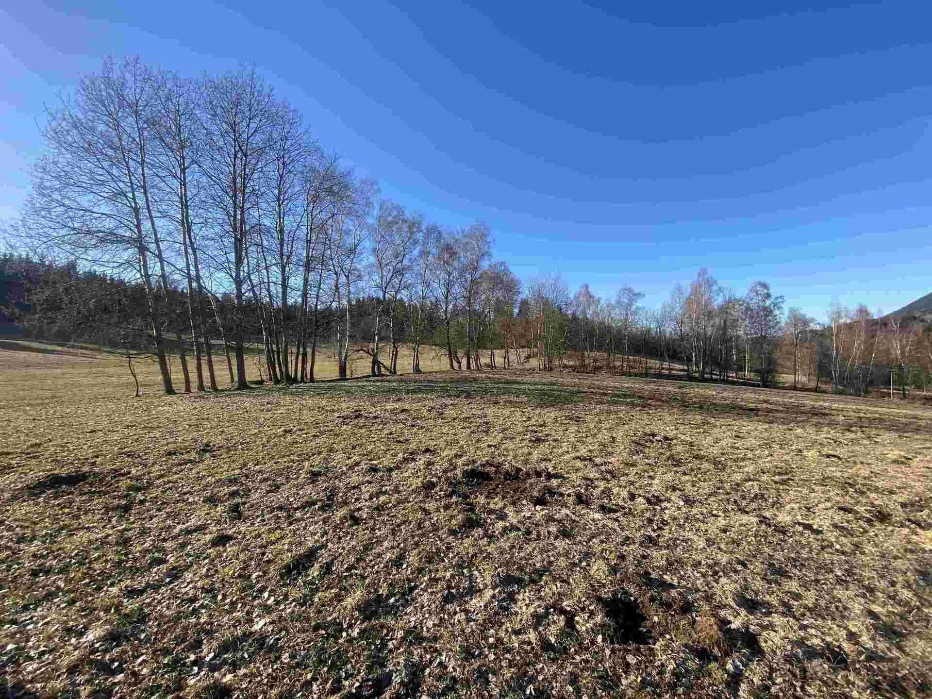 Pozemek · 11 266 m² · Bernartice - 2