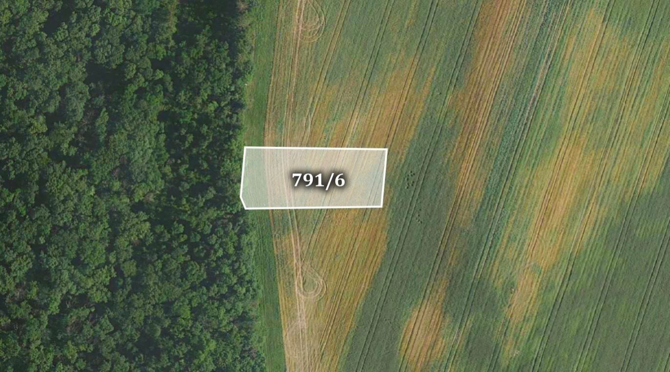 Prodej zemědělský pozemek - Honětice, 4 168 m²