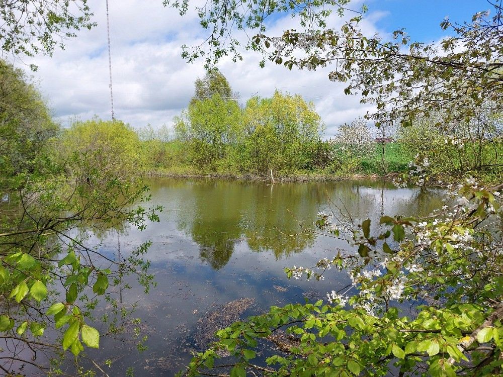 Rybníky, Krásensko, okres Vyškov, Jihomoravský kraj - 1