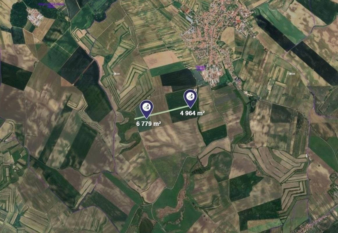 Prodej pozemek - Čejkovice, 11 743 m²