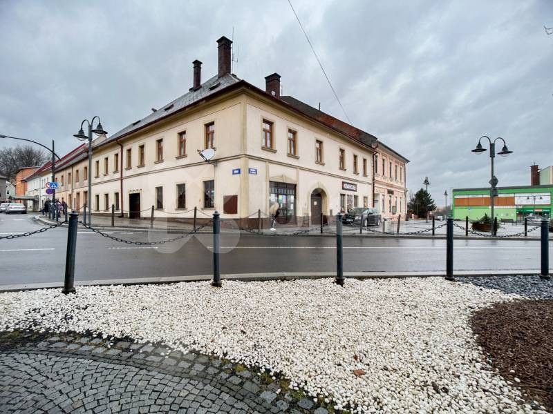 Prodej dům - náměstí 9. května, Moravský Beroun, 680 m²