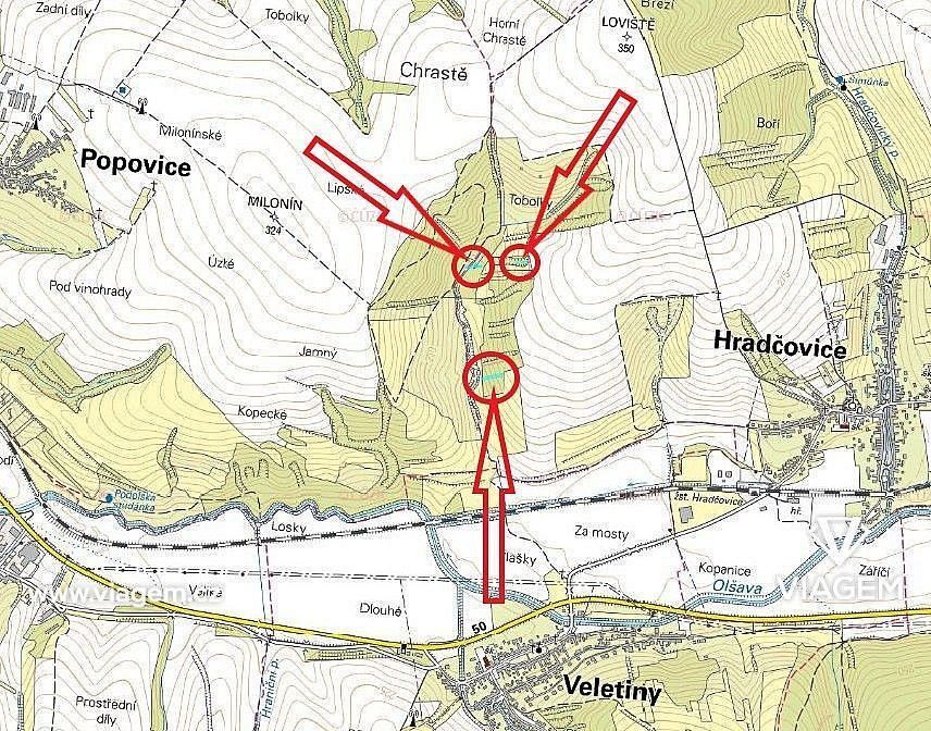 Les · Hradčovice, okres Uherské Hradiště, Zlínský kraj - 4