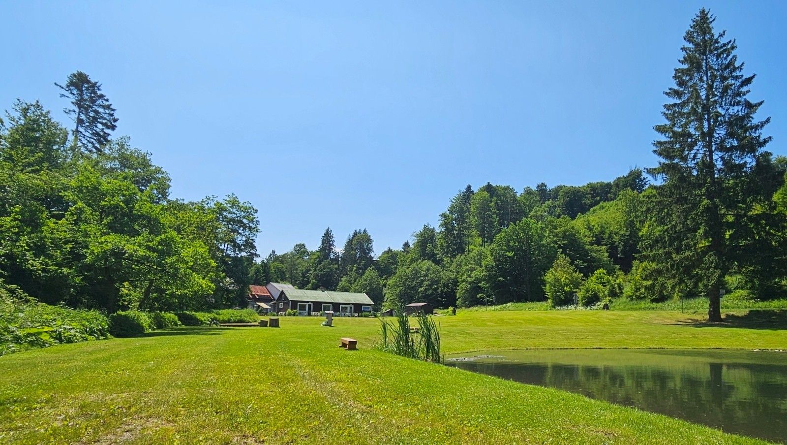 Pozemek pro bydlení · 4 122 m² · Zábřeh Dolní Bušínov - 3
