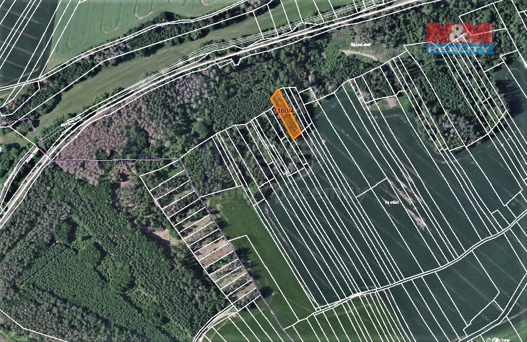Prodej les - Trhový Štěpánov, 257 63, 1 133 m²