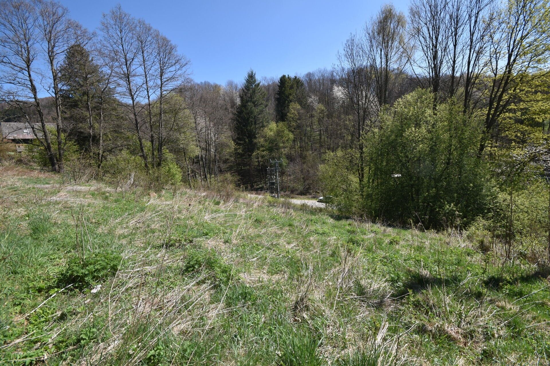 Pozemek pro bydlení · 3 985 m² · Jeseník - 4