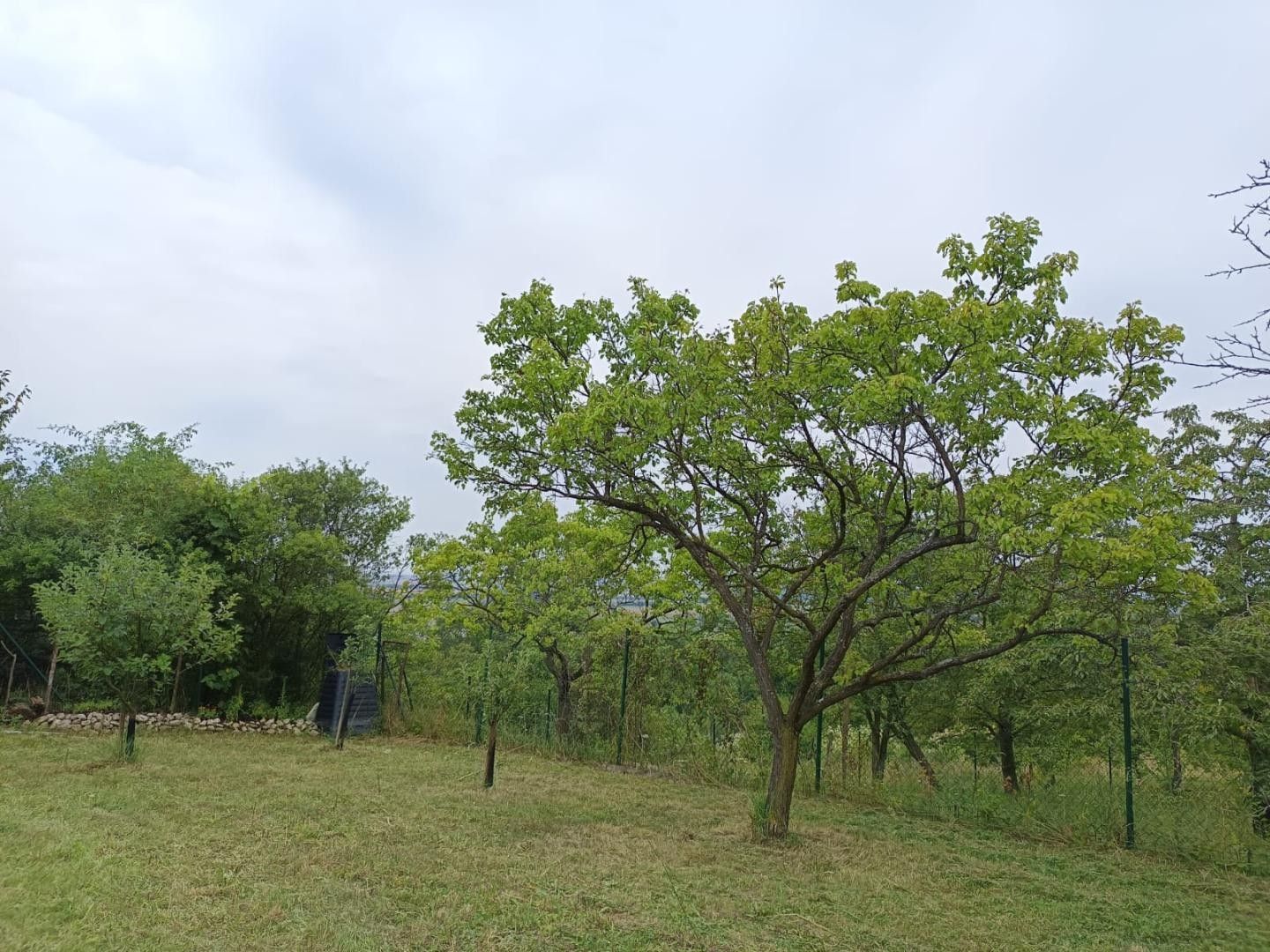 Prodej zahrada - Hliniště, Mikulov - 5