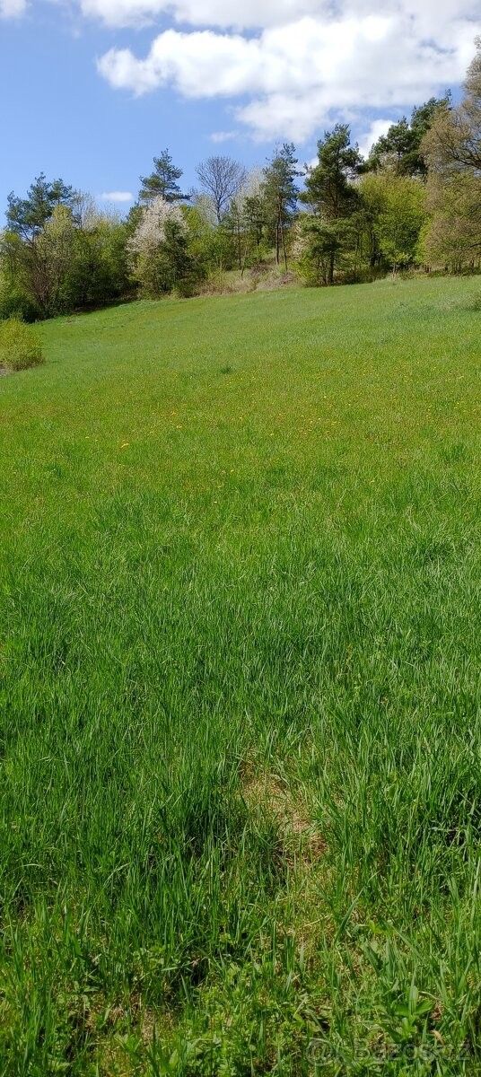 Pozemky pro bydlení, Deštná, 679 61