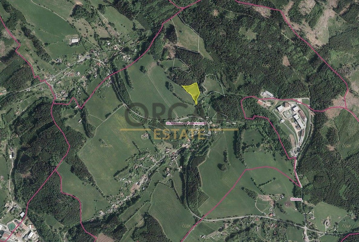 Louka · Malé Svatoňovice, okres Trutnov, Královéhradecký kraj - 3