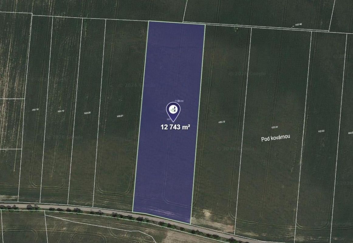 Zemědělský pozemek, 2 124 m²