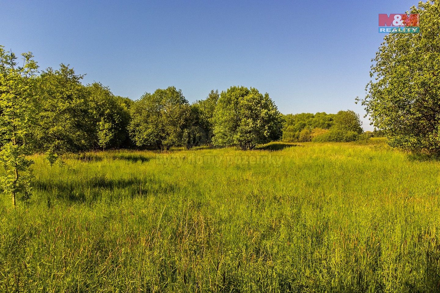 Zemědělský pozemek · Krásná Lípa, okres Děčín - 4