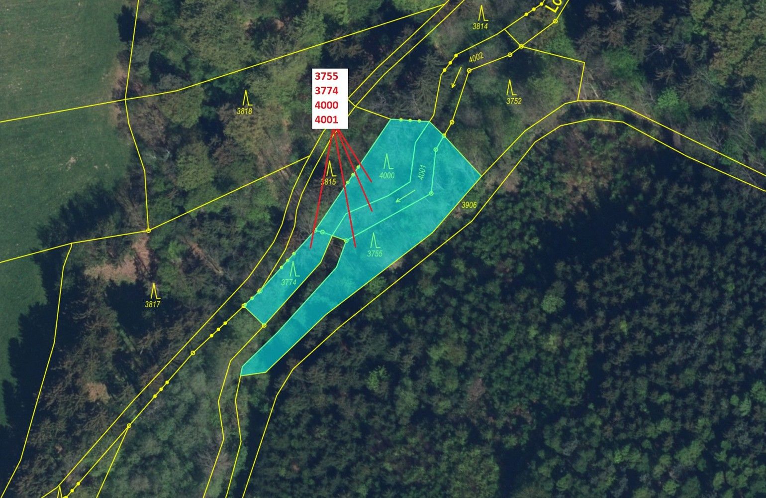 Les · Dobré, okres Rychnov nad Kněžnou, Královéhradecký kraj - 2