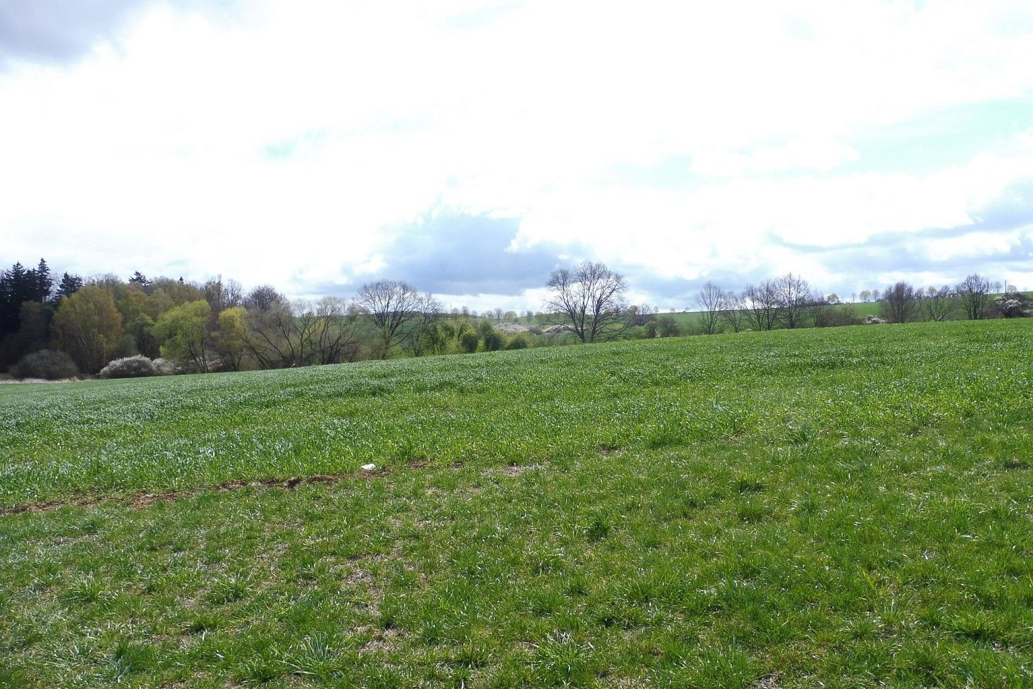 Ostatní, Chotýšany - 2