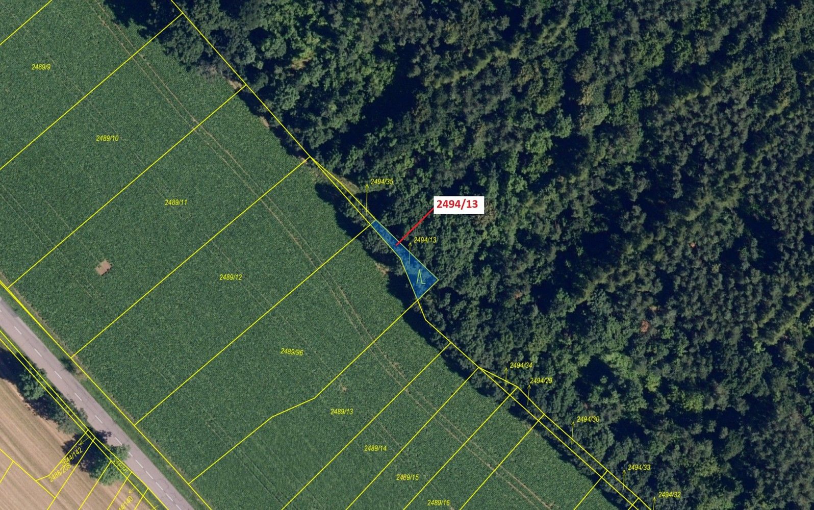 Prodej les - Čučice - 2