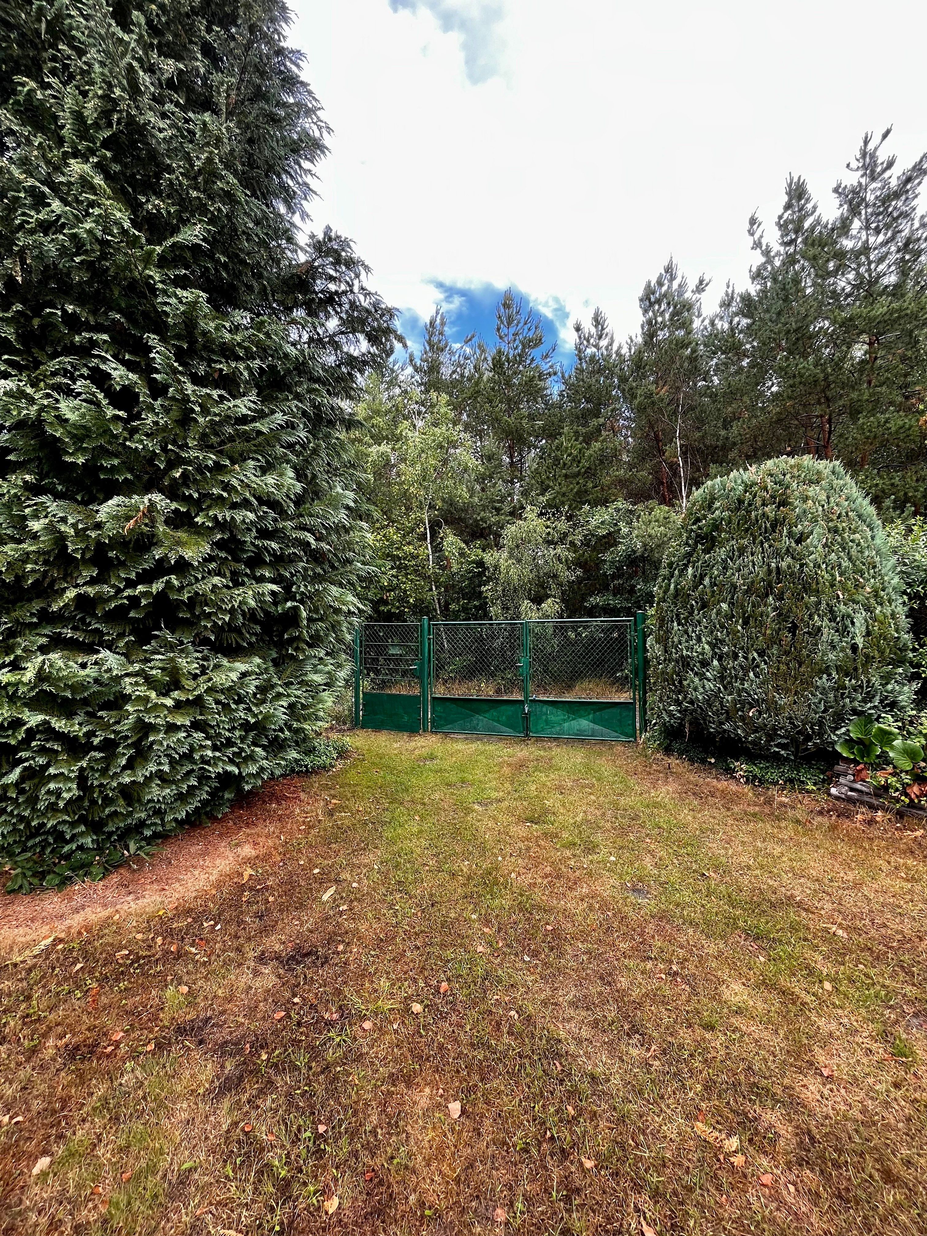 Chata · 104 m² · Střední, Nová Ves pod Pleší - 4