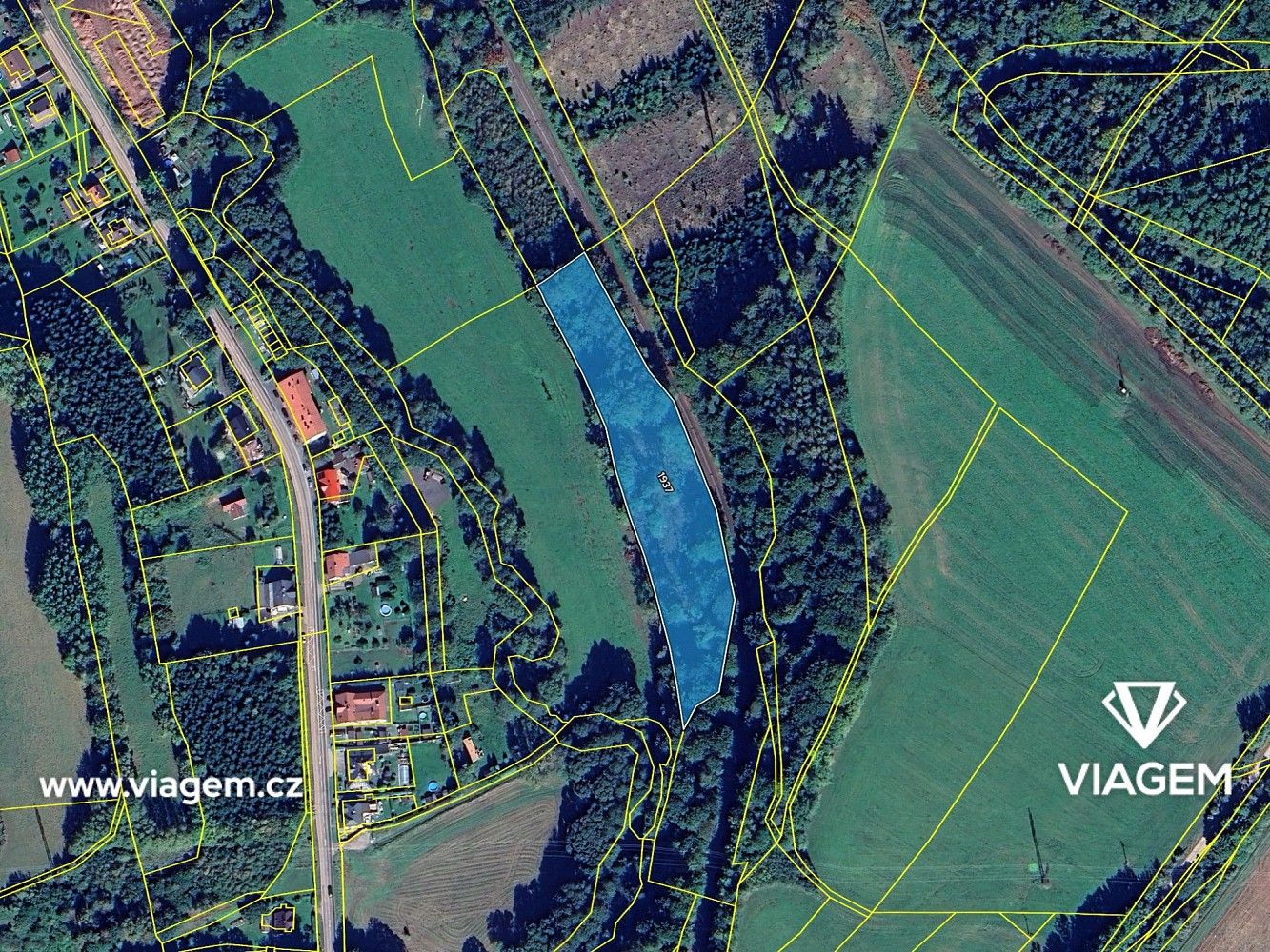 Les · Trutnov, Královéhradecký kraj - 4