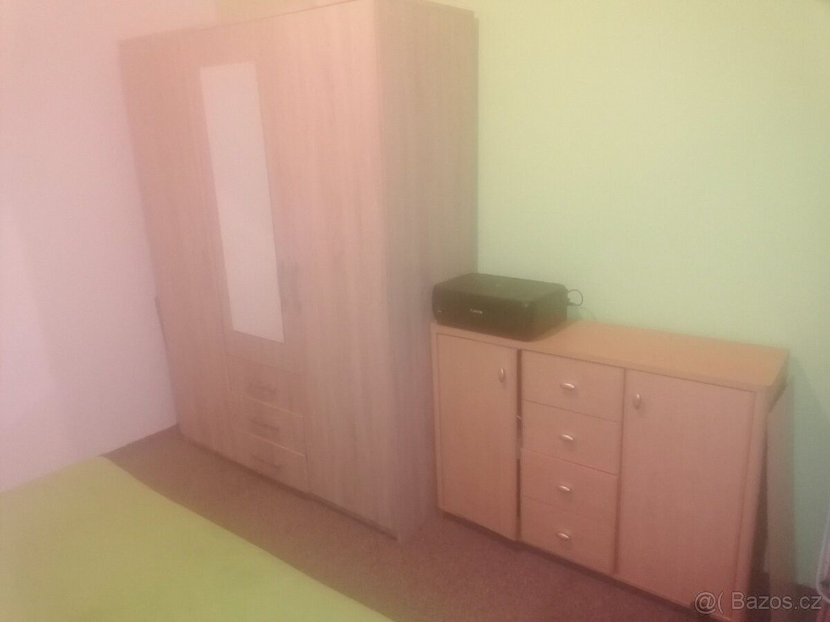 Pronájem byt - Josefův Důl u Mladé Boleslavě, 293 07