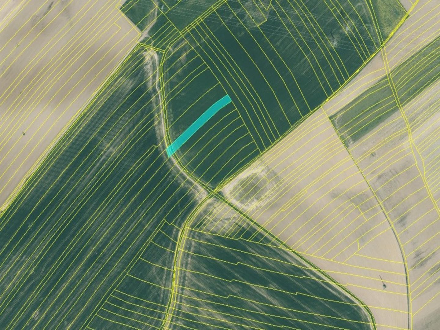 Prodej zemědělský pozemek - Oplot