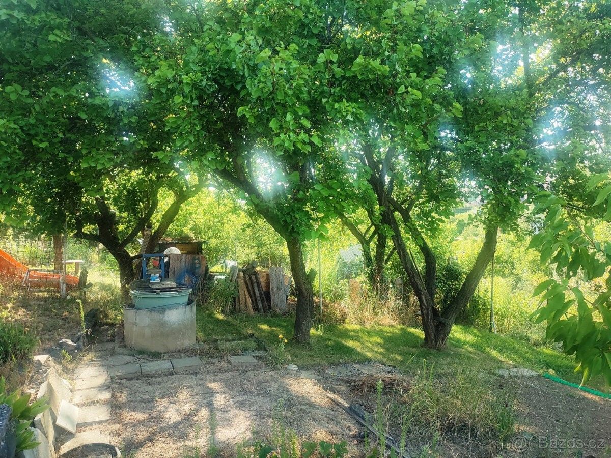 Pronájem zahrada - Brno, 619 00