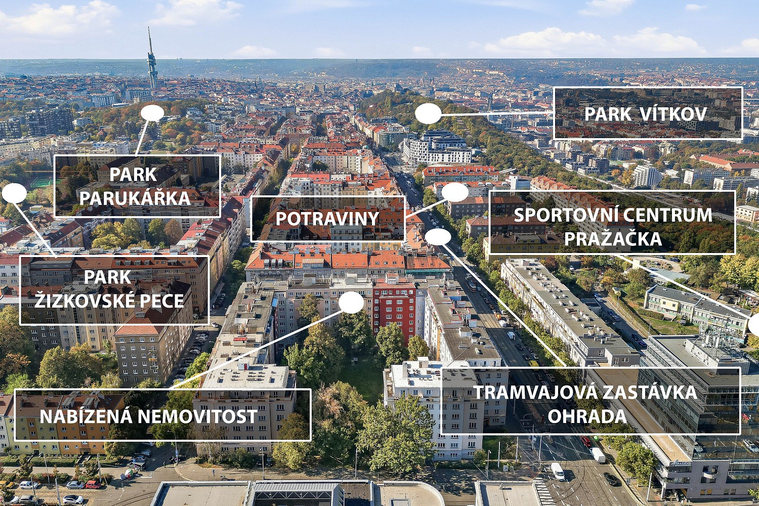 Prodej byt 1+1 - Viklefova, Praha 3 - Žižkov, 46,5 m² - 2