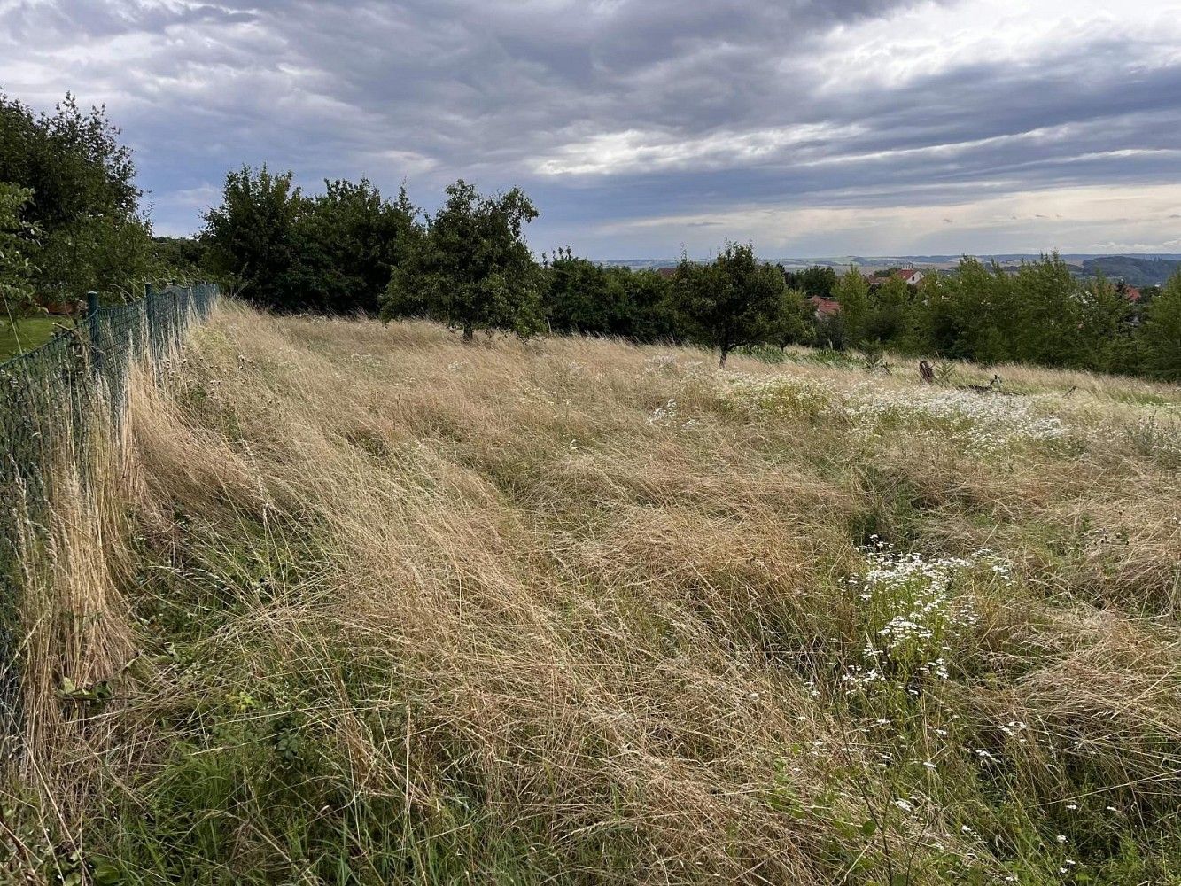 Zahrada · Oslavany - Padochov, okres Brno-venkov, Jihomoravský kraj - 3