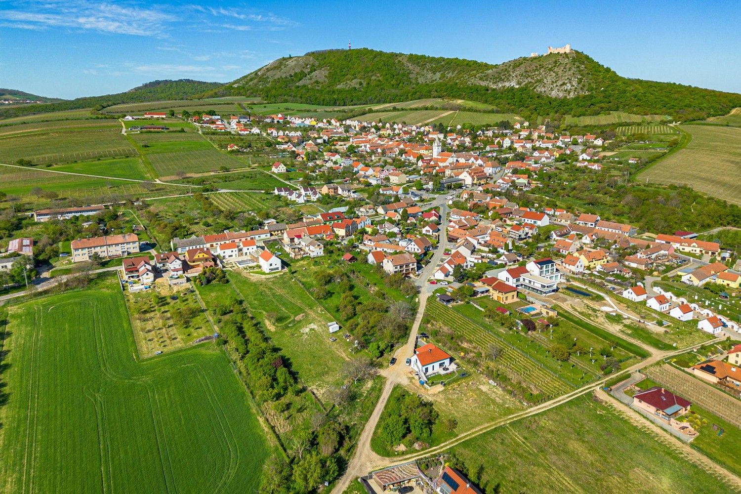 Prodej rodinný dům - Pavlov, okres Břeclav, 420 m² - 5