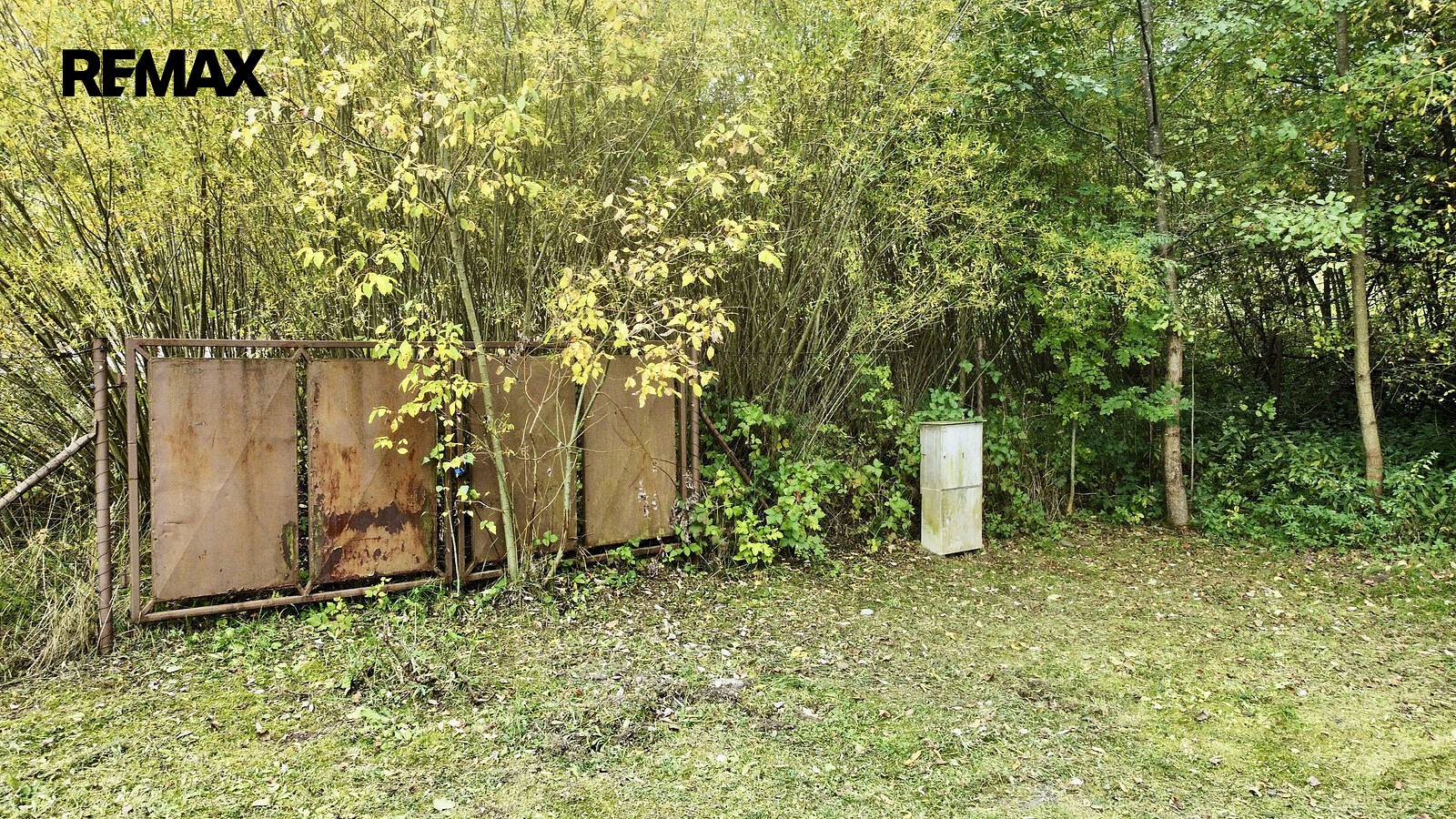 Louka · Pecka, okres Jičín - 4