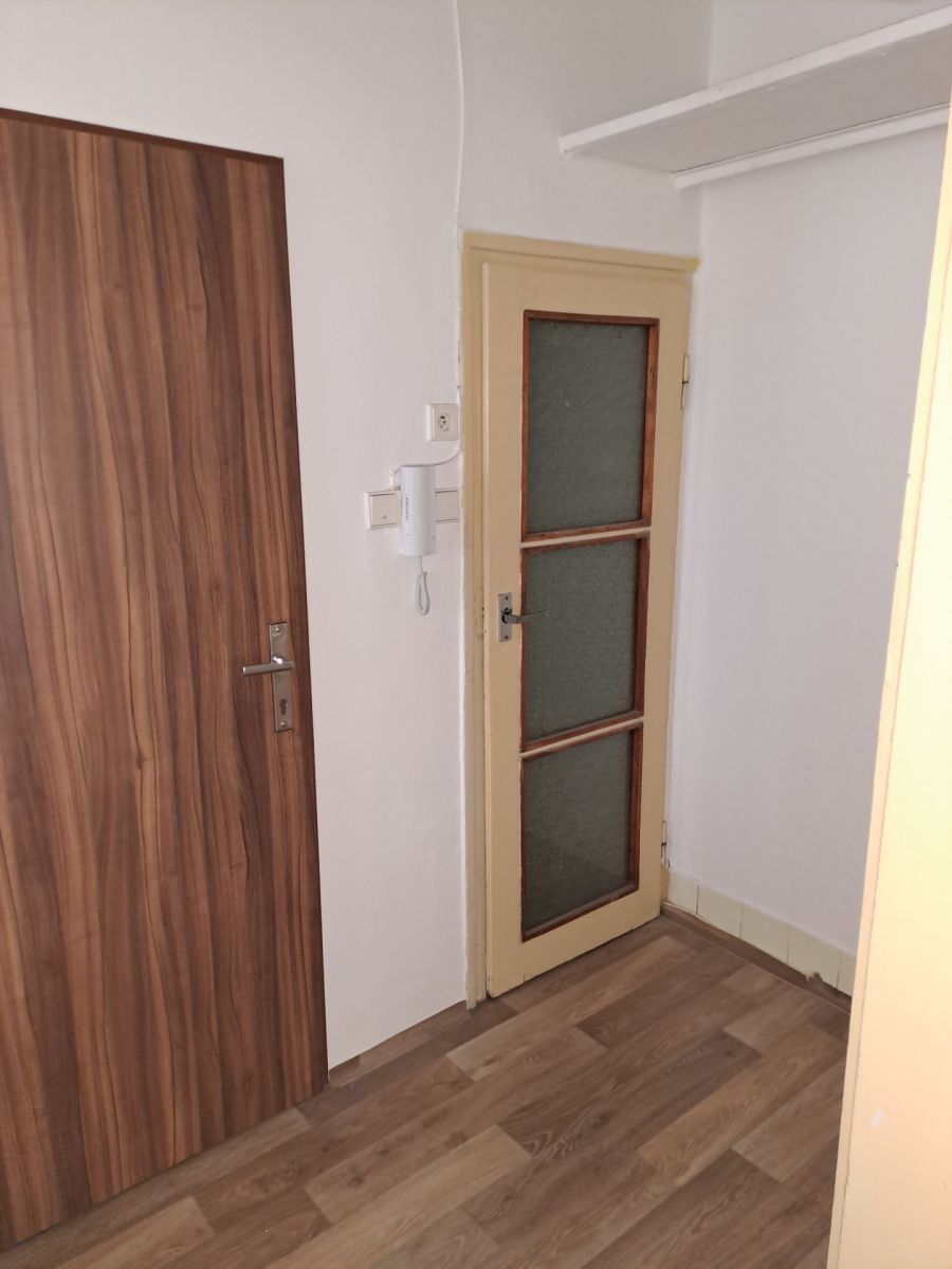 1+kk, Hankova, Plzeň - Plzeň, Plzeňský kraj, 26 m² - 1