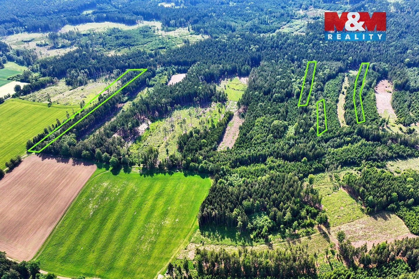 Les · Moraveč, okres Pelhřimov, Kraj Vysočina - 4