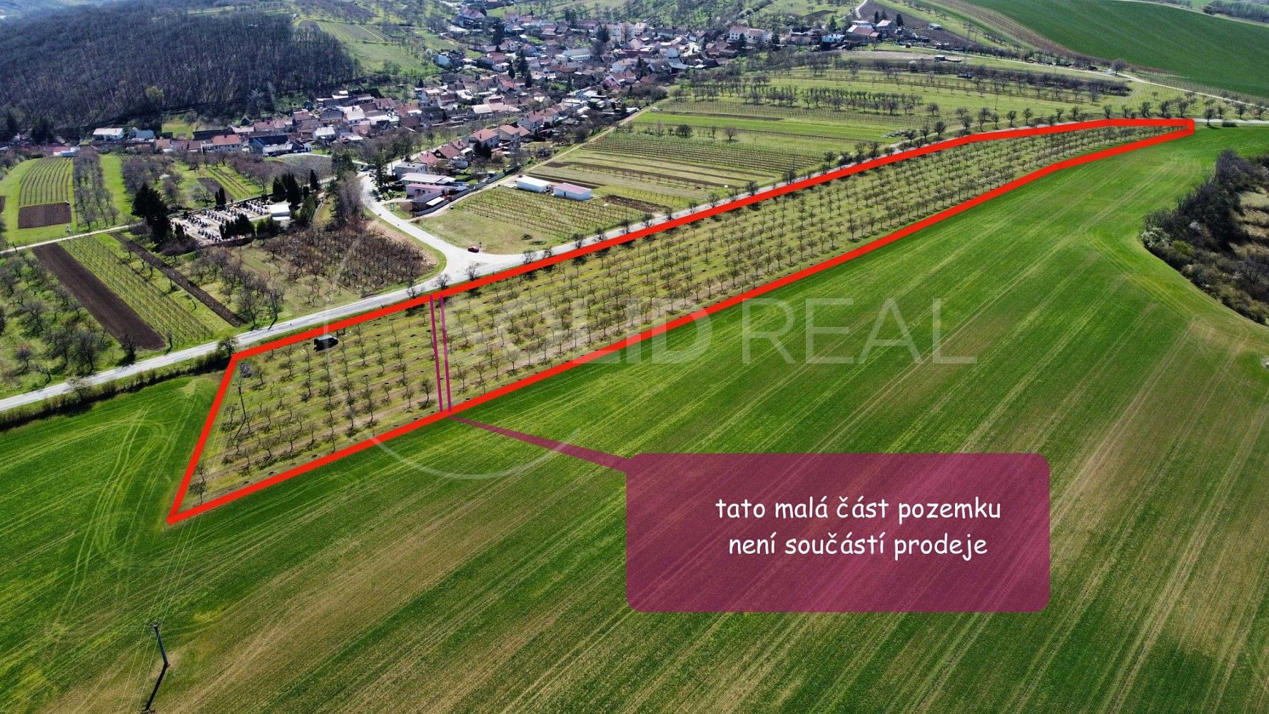 Prodej zemědělský pozemek - Horní Bojanovice, okres Břeclav, Jihomoravský kraj - 5