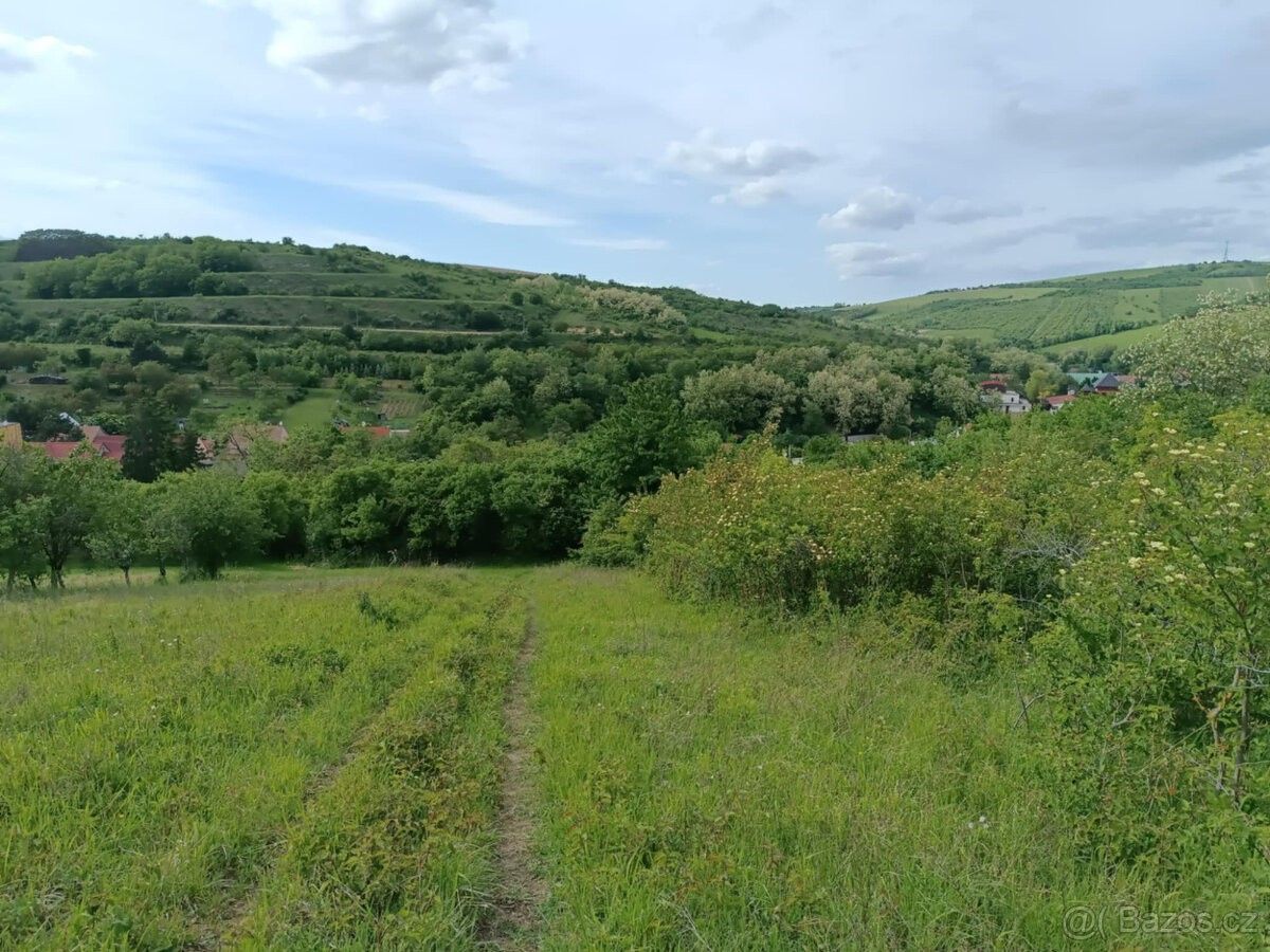 Pozemky pro bydlení, Uherčice u Hustopečí, 691 62 - 2