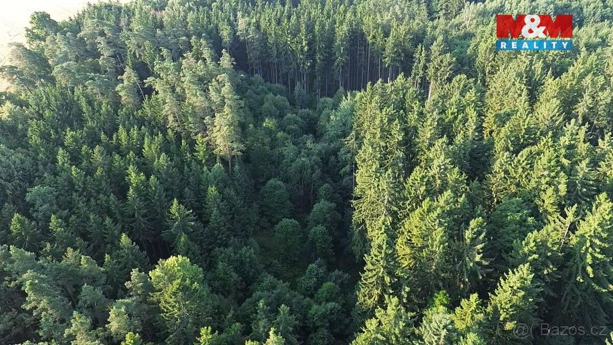 Prodej pozemek pro bydlení - Tábor, 390 01