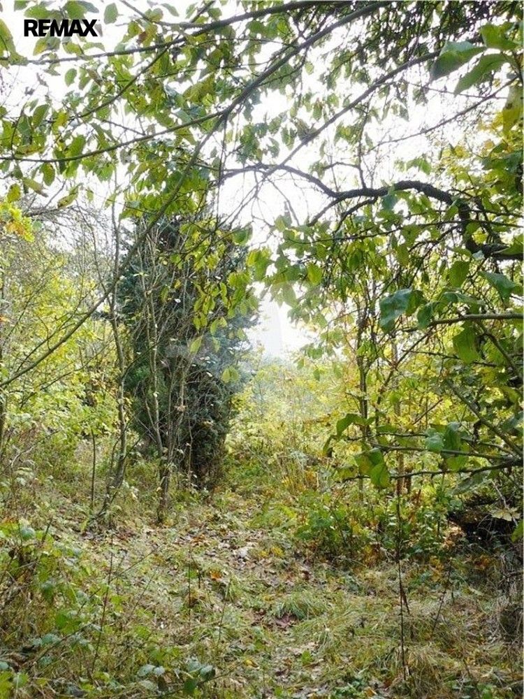 Pozemek pro bydlení · Mariánské Lázně - Úšovice, okres Cheb, Karlovarský kraj - 4