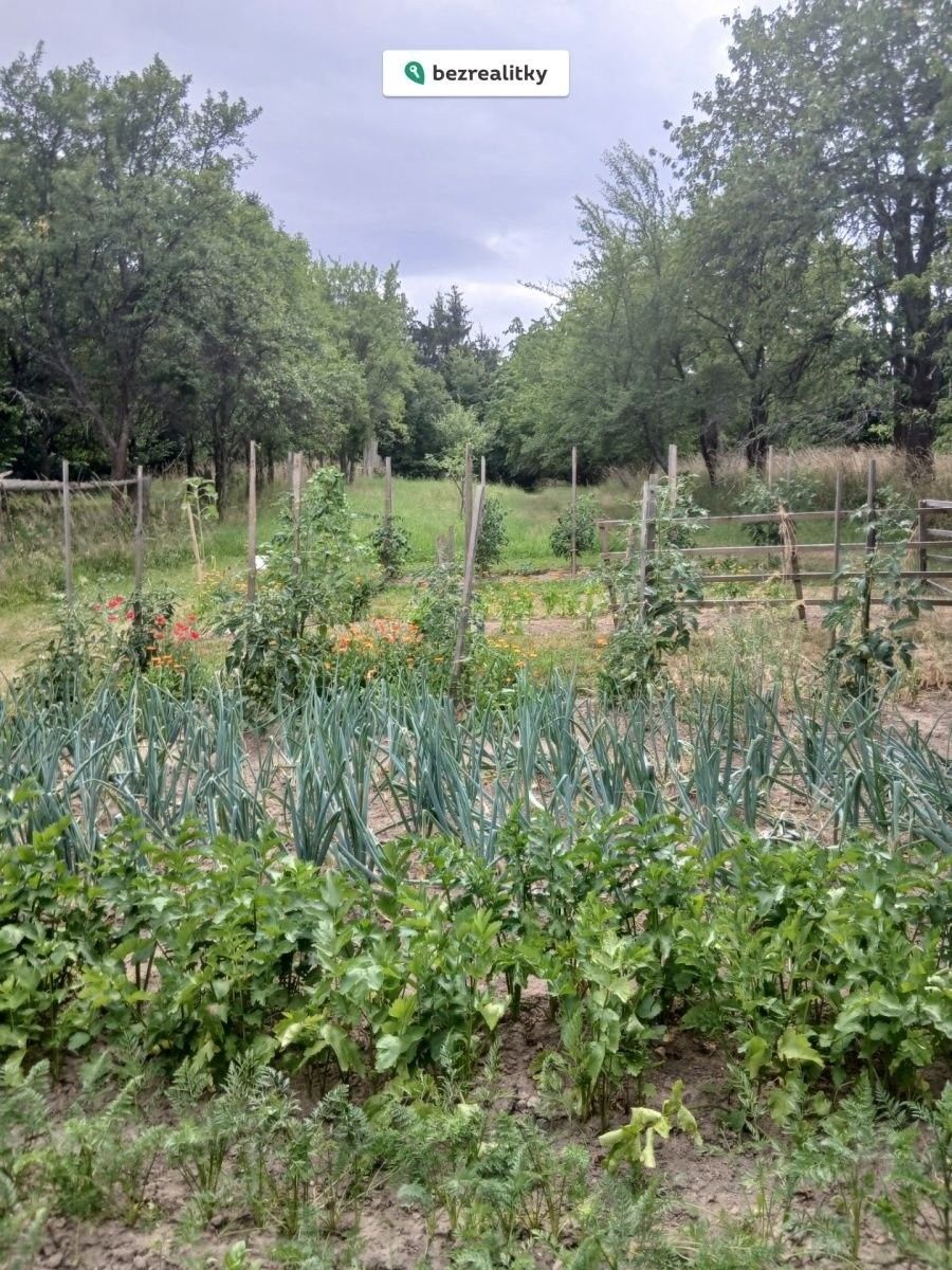 Prodej rodinný dům - Slavonice Vlastkovec, 95 m² - 5